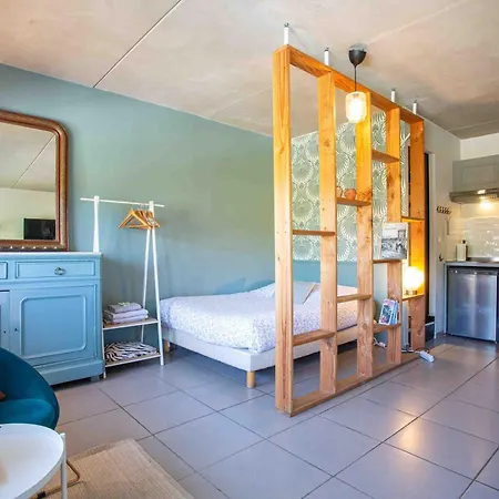 Le Saint Roch 2 - Ac Clim - Wifi - 50m Centre Apartment